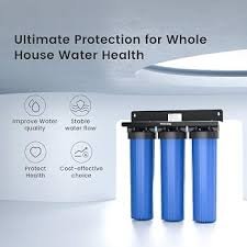 Whole House Water System Cost